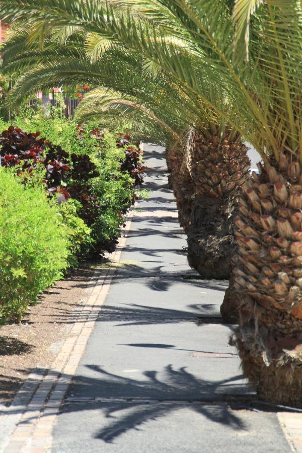 Spacious Apartment With Large Private Garden In Palm Mar Extérieur photo